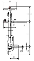 Криогенный запорный клапан угловой CCK T251DL10-15 PN25