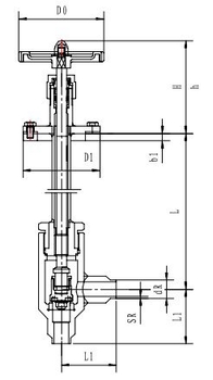 Криогенный запорный клапан угловой CCK T251DL10-15 PN25