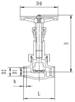 Криогенный запорный клапан GLOBE J6(2)1F-40P короткий шток