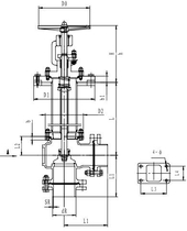 Криогенный запорный клапан угловой CCK T321DL65-80 PN40