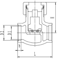 Криогенный обратный клапан T338DH10-40 PN40