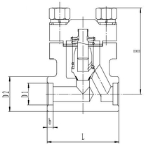 Криогенный обратный клапан T551DH10-40 PN250