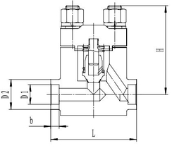 Криогенный обратный клапан T651DH10-40 PN350